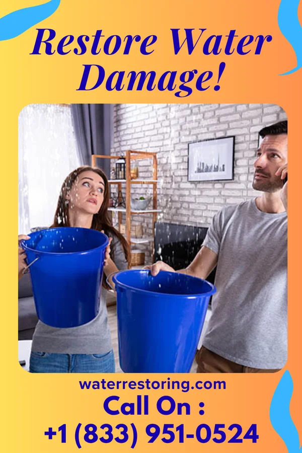 water restoration Shield Water Damage Pros Port Carbon