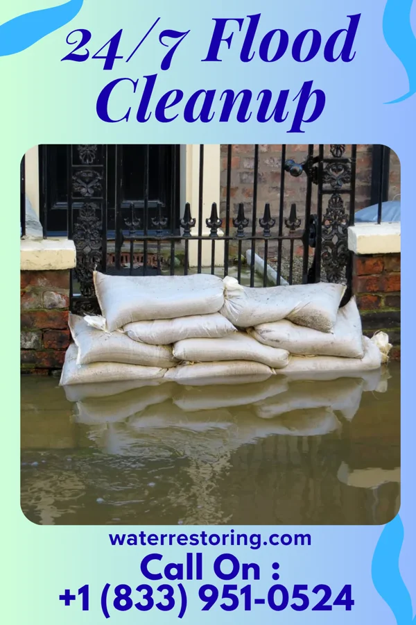 24/7 Flood Cleanup in Port Carbon, PA