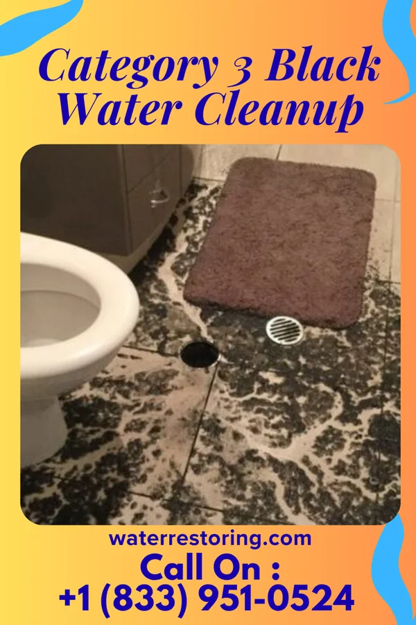 Category 3 Black Water Cleanup in Port Carbon, PA