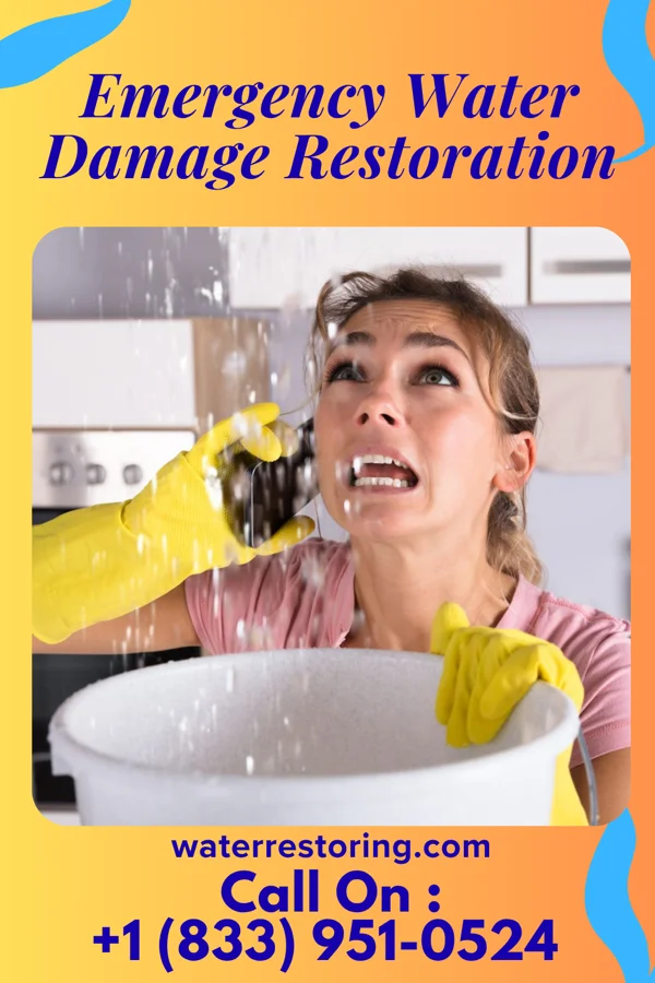 Emergency Water Damage Restoration in Port Carbon, PA