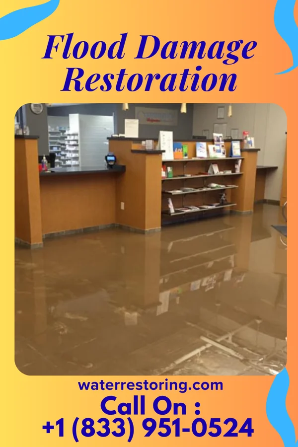 Flood Damage Restoration in Port Carbon, PA