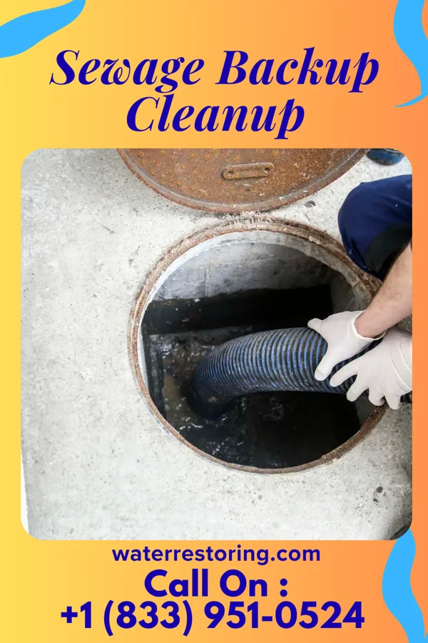 Sewage Backup Cleanup in Port Carbon, PA