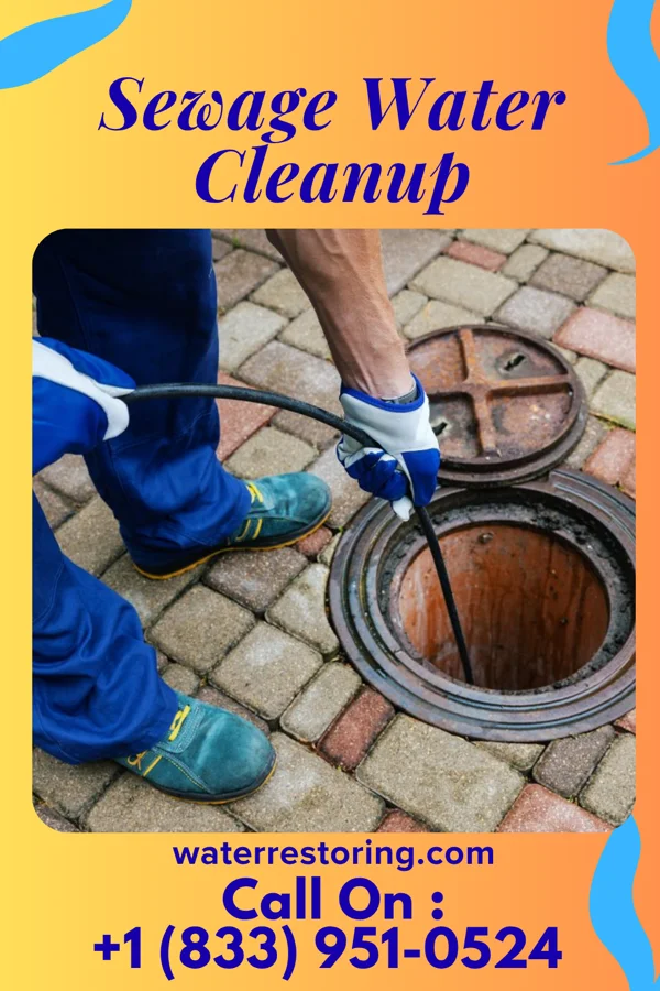 Sewage Water Cleanup in Port Carbon, PA